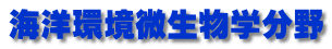 Cmw