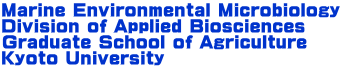 Marine Environmental Microbiology